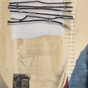 Carlos Aguirre "Lineas Paralelas"