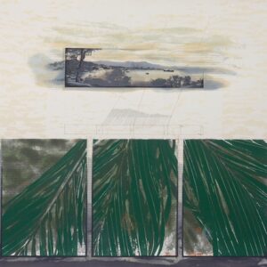 Carlos Aguirre "Paisaje"
