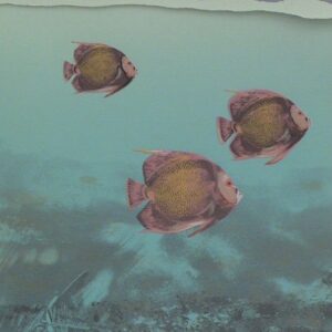 Carlos Aguirre "Peces"