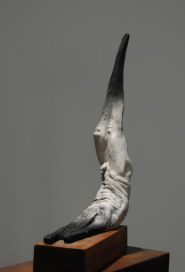 Leonardo Morales "Simplex"