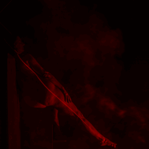 Leonardo Morales "Peninsular VI"