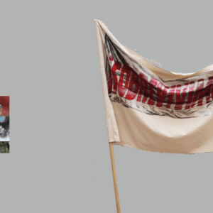 Haniel Fonseca "Los traumas generaron patria"